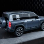 بي-واي-دي-ليوبارد-5-المربع-نت-23