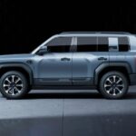 بي-واي-دي-ليوبارد-5-المربع-نت-25