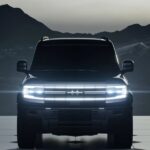 بي-واي-دي-ليوبارد-5-المربع-نت-26