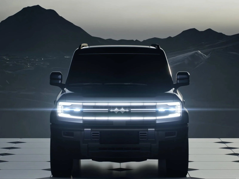 بي-واي-دي-ليوبارد-5-المربع-نت-26