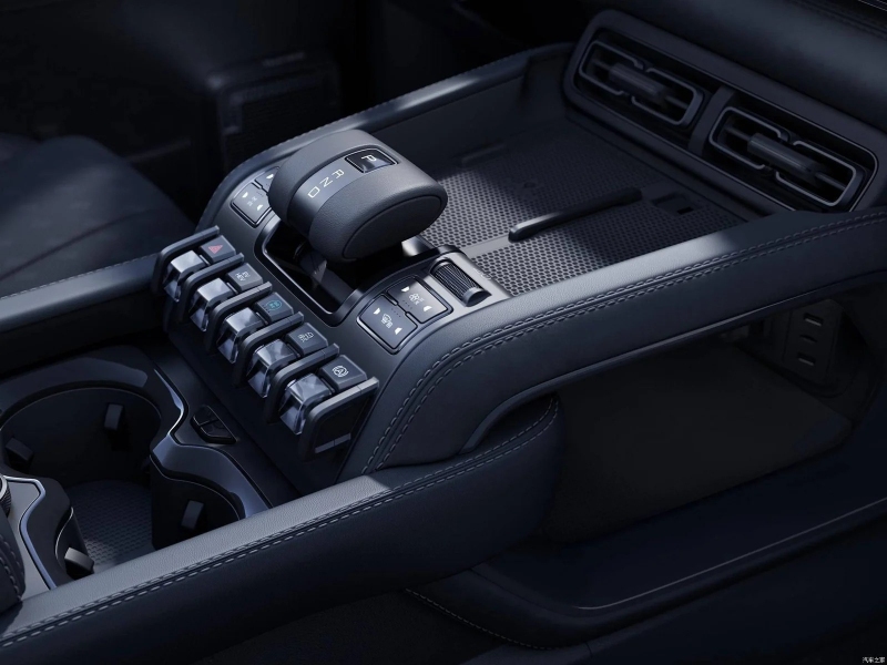 بي-واي-دي-ليوبارد-5-المربع-نت-33