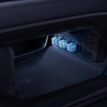 بي-واي-دي-ليوبارد-5-المربع-نت-36