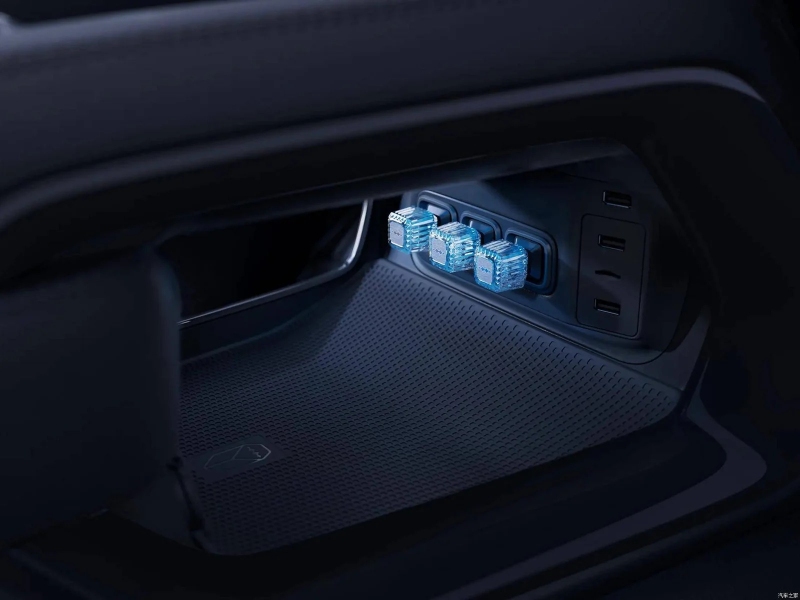 بي-واي-دي-ليوبارد-5-المربع-نت-36