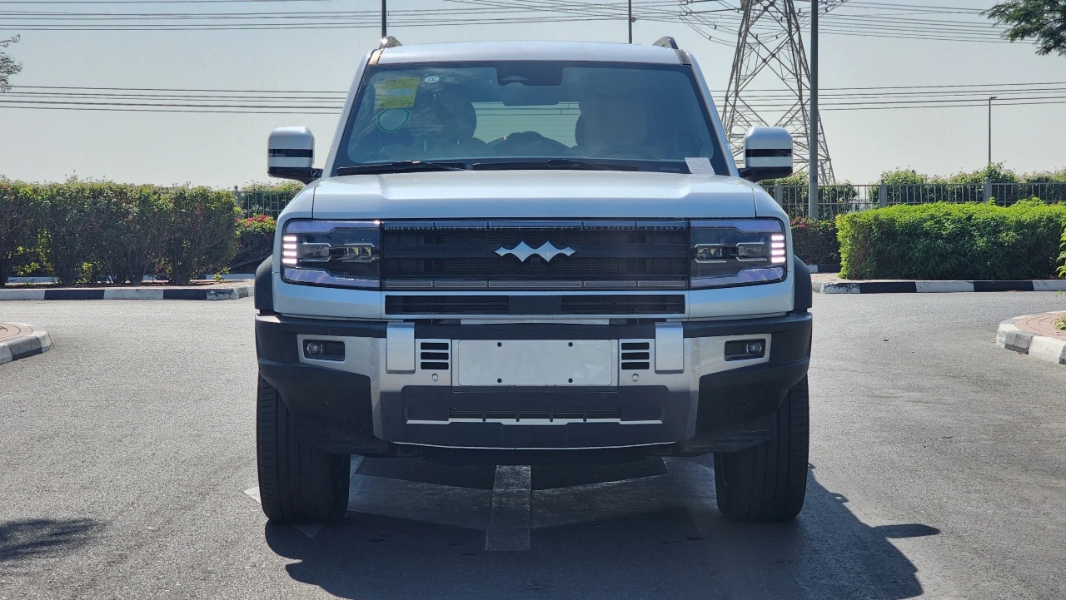 بي-واي-دي-ليوبارد-5-المربع-نت-4