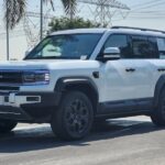 بي-واي-دي-ليوبارد-5-المربع-نت-5