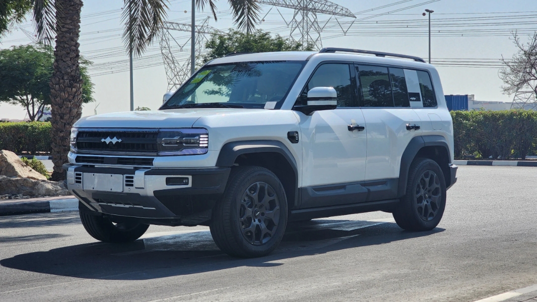 بي-واي-دي-ليوبارد-5-المربع-نت-5