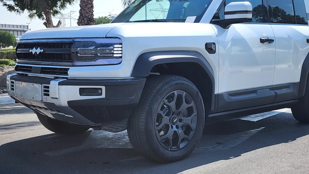 بي-واي-دي-ليوبارد-5-المربع-نت-6