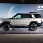 بي-واي-دي-ليوبارد-8-المربع-نت-11