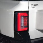 بي-واي-دي-ليوبارد-8-المربع-نت-13