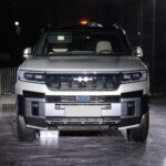 بي-واي-دي-ليوبارد-8-المربع-نت-14