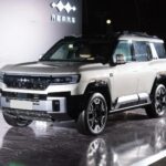 بي-واي-دي-ليوبارد-8-المربع-نت-15