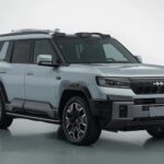 بي-واي-دي-ليوبارد-8-المربع-نت-3