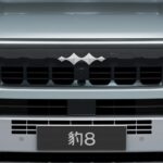 بي-واي-دي-ليوبارد-8-المربع-نت-7