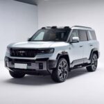 بي-واي-دي-ليوبارد-8-المربع-نت-8