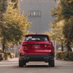 جاك-js8-المربع-نت-24