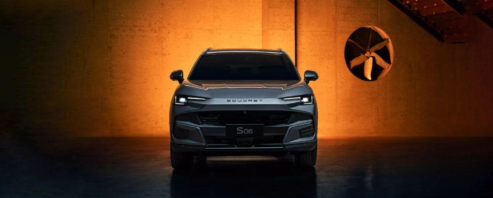 ساوايست S06 2025 5