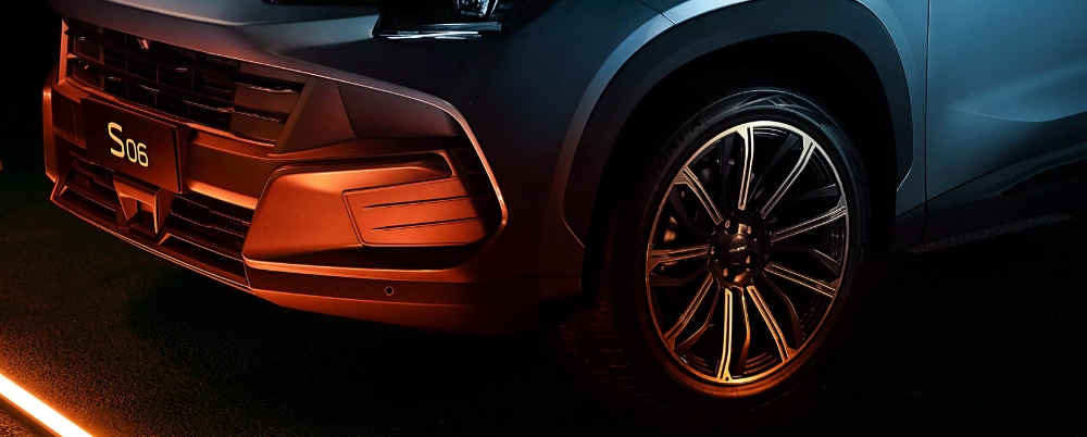 ساوايست S06 2025 8