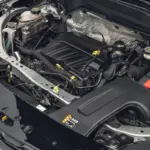 شفروليه-تراكس-المربع-نت-19