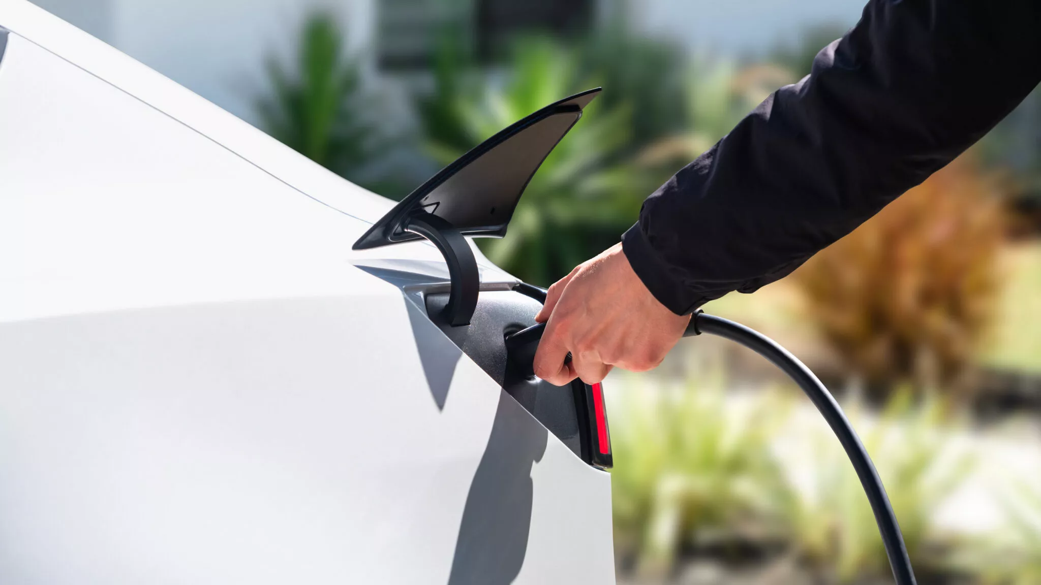 تيسلا تكشف عن فئات أرخص من موديل 3 وموديل واي في محاولة لتعزيز مبيعاتها 28