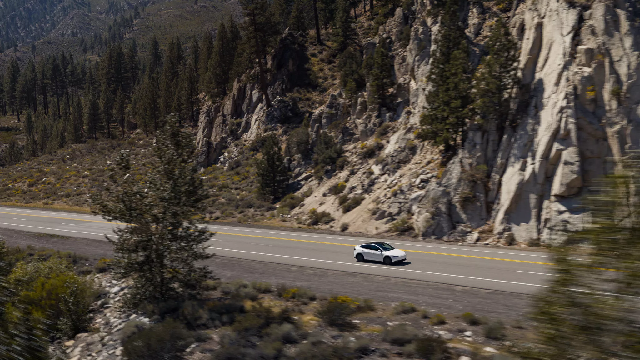 تيسلا تكشف عن فئات أرخص من موديل 3 وموديل واي في محاولة لتعزيز مبيعاتها 14