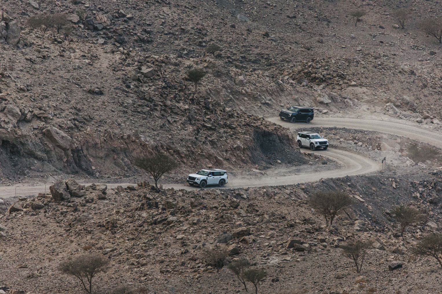 نيسان باترول الجديد كليّاً يرسّخ مكانته كرمزٍ للقوة والفخامة والتقدّم في الذكرى السنوية الأولى لإطلاقه نيسان باترول الجديد كليّاً يرسّخ مكانته كرمزٍ للقوة والفخامة والتقدّم في الذكرى السنوية الأولى لإطلاقه 3