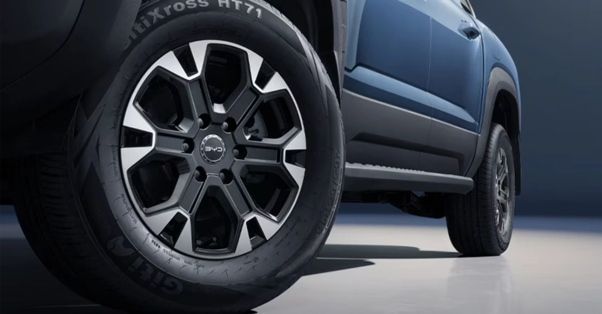 بي-واي-دي-شارك-6-المربع-نت-20