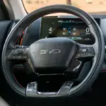 بي-واي-دي-شارك-6-المربع-نت-6