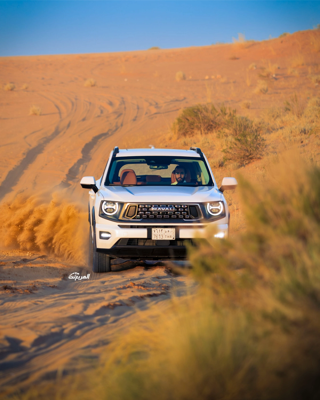 صور هافال H7 2026 من جلسة تصوير حصرية (23 صورة) Haval H7 صور هافال H7 2026 من جلسة تصوير حصرية (23 صورة) Haval H7 10