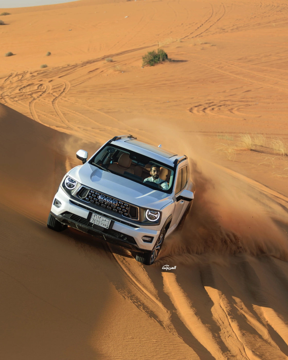 صور هافال H7 2026 من جلسة تصوير حصرية (23 صورة) Haval H7 صور هافال H7 2026 من جلسة تصوير حصرية (23 صورة) Haval H7 15