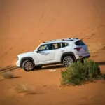 هافال-h7-المربع-نت-صور-حصرية-19