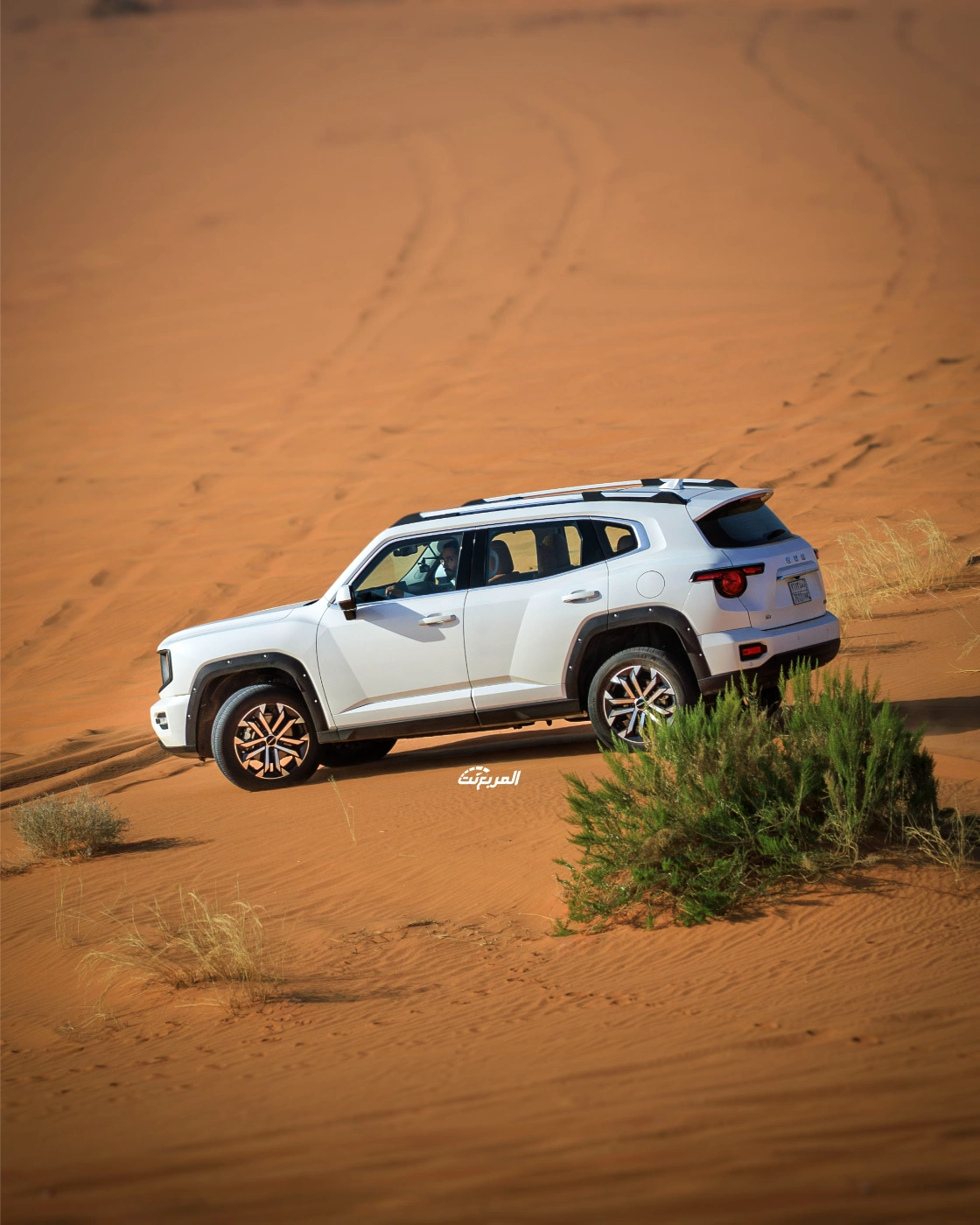 صور هافال H7 2026 من جلسة تصوير حصرية (23 صورة) Haval H7 صور هافال H7 2026 من جلسة تصوير حصرية (23 صورة) Haval H7 19