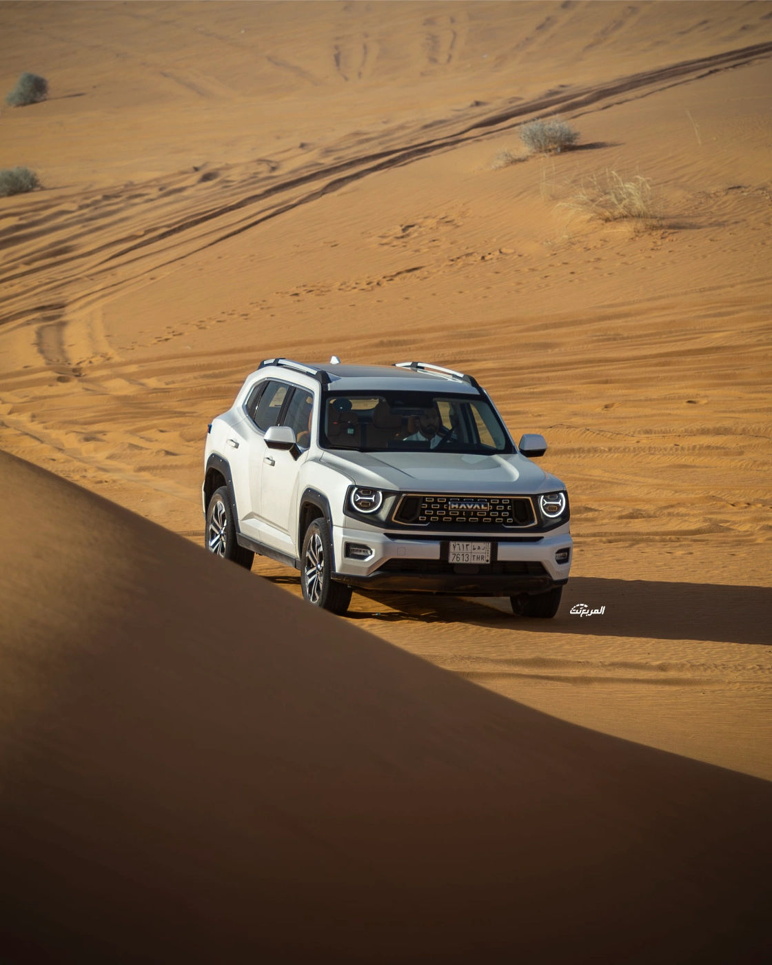 صور هافال H7 2026 من جلسة تصوير حصرية (23 صورة) Haval H7 صور هافال H7 2026 من جلسة تصوير حصرية (23 صورة) Haval H7 22