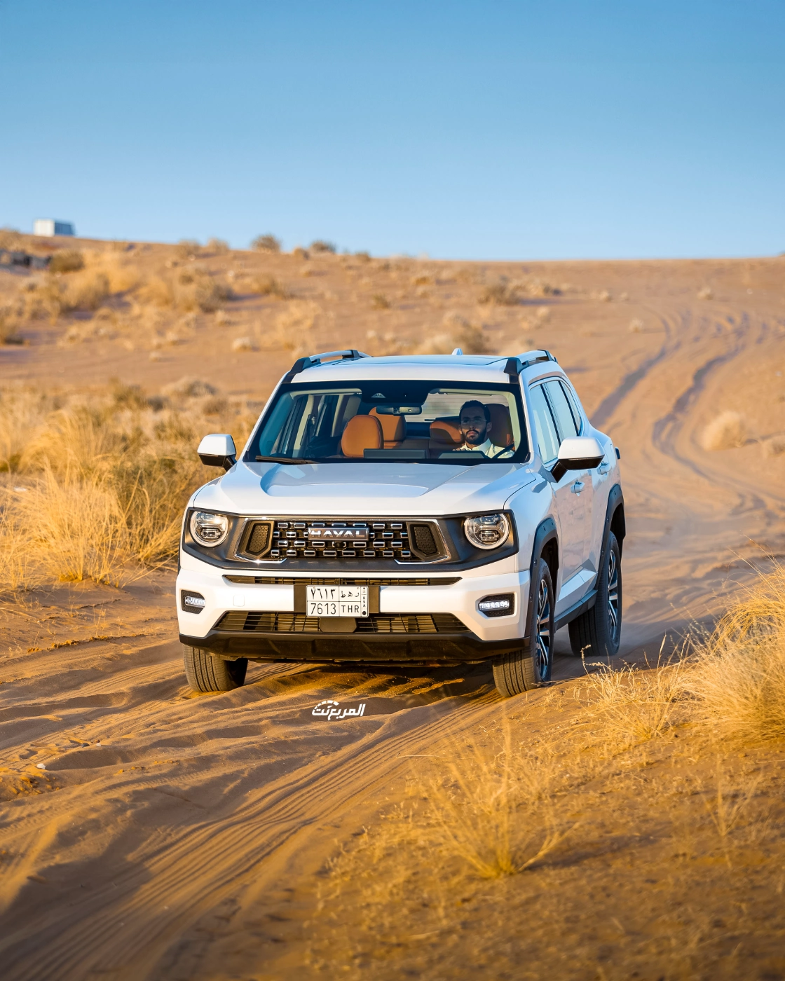 صور هافال H7 2026 من جلسة تصوير حصرية (23 صورة) Haval H7 صور هافال H7 2026 من جلسة تصوير حصرية (23 صورة) Haval H7 9