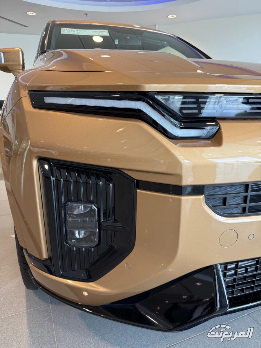 كي جي ام اكتيون 2026 36