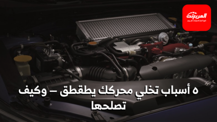 طقطقة