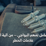 البواجي