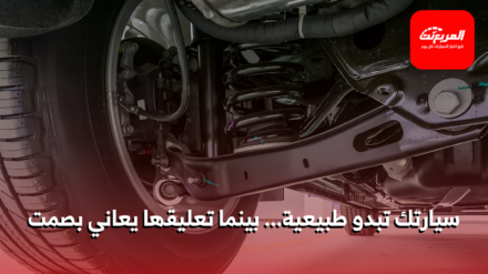 نظام التعليق