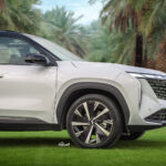 جيلي-ستار-راي-المربع-نت-17-4