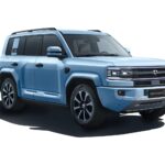 دينزا-b5-المربع-نت-11