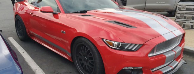 شاهد بالصور الفيديو تقرير عن icons11001-650x250.jpg