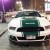 “بالصور” شاهد اكبر تجمع لسيارات فورد موستنج في مدينة دبي احتفالاً بمرور 50 عاماً